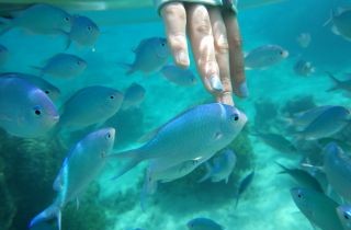 シーカヤック沖縄　海遊倶楽部