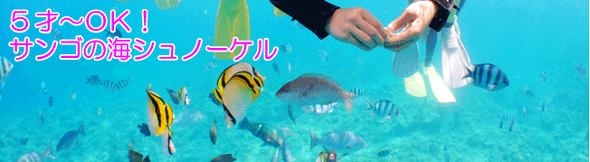 沖縄サンゴの海シュノーケリング