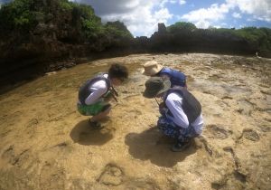 スケルトンカヤック画像＿海遊倶楽部